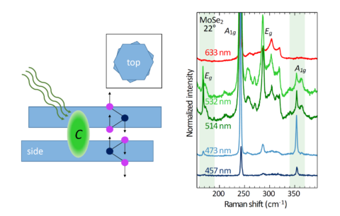 Zum Artikel "Interlayer Raman modes in twisted bilayer transition metal dichalcogenides"